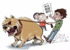 青島10月份一大波勁爆消息，你知道嗎？