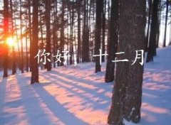 抓住2016年的尾巴給自己充充電！12月，加油！