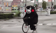 青島也有“共享單車”啦！說(shuō)騎就騎的旅程GO